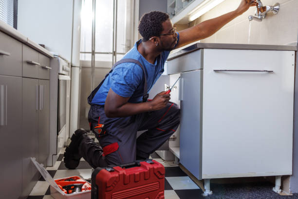 Best Plumbing Services Near Me  in Bonne Terre, MO